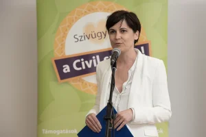 NIOK Civil Díj Gála 2018 08